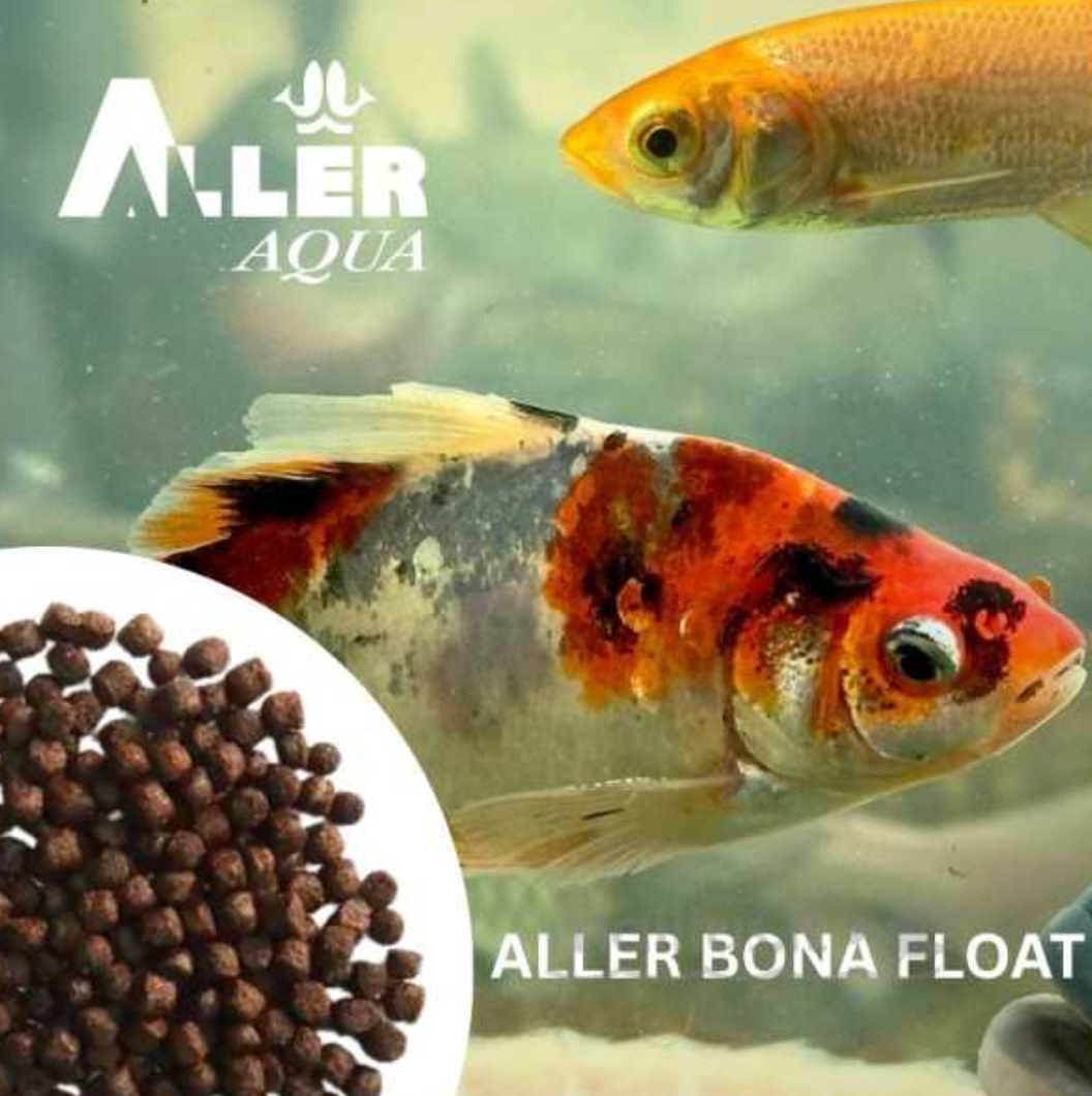 Aller Bona Float pludiņbarība 4.5mm-6mm, 2.5-2.7kg
