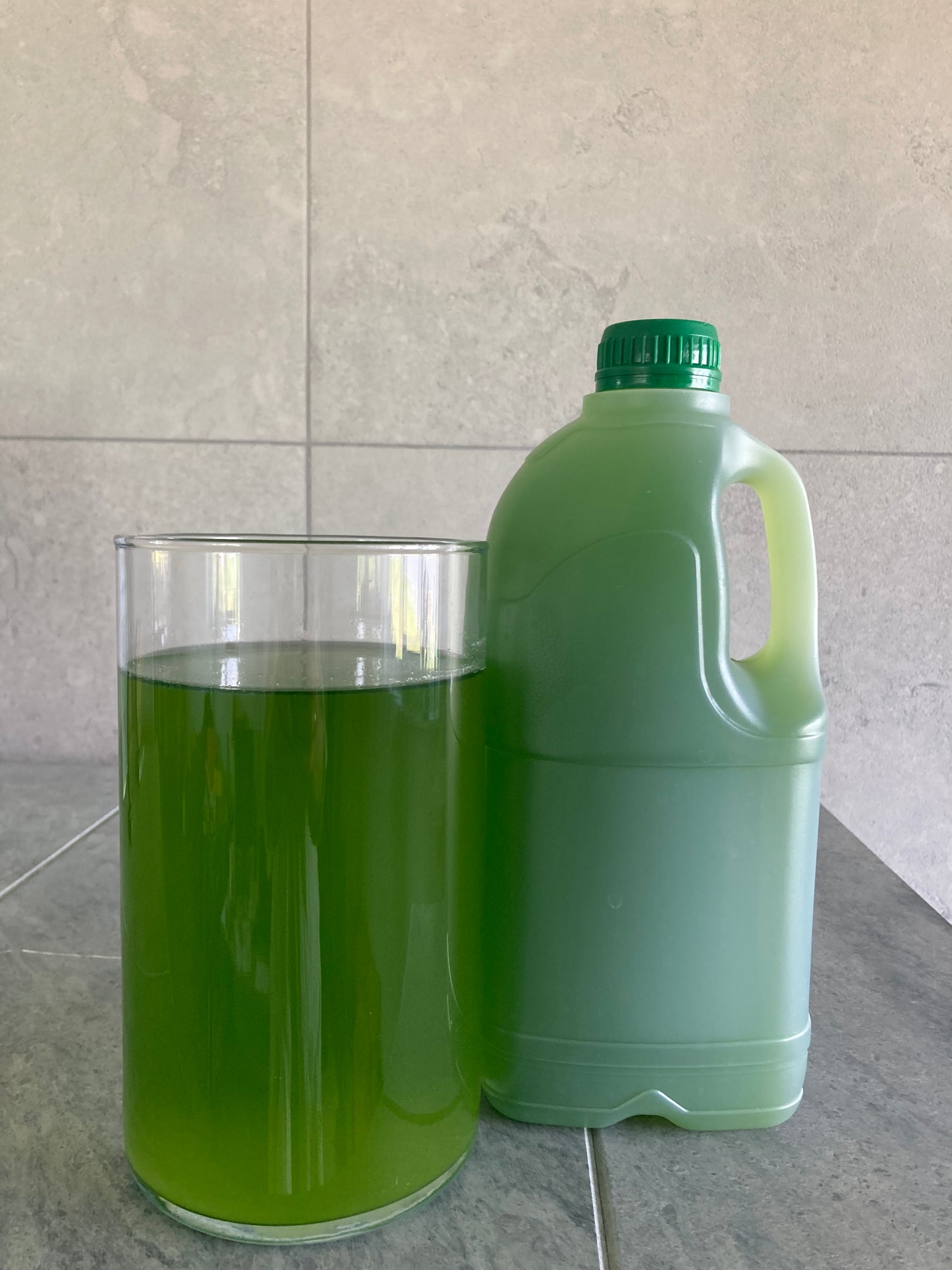 Dzīvā mikroaļģe Chlorella zivju dīķu un ūdenstilpju uzlabošanai
